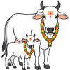 Vagh Barash