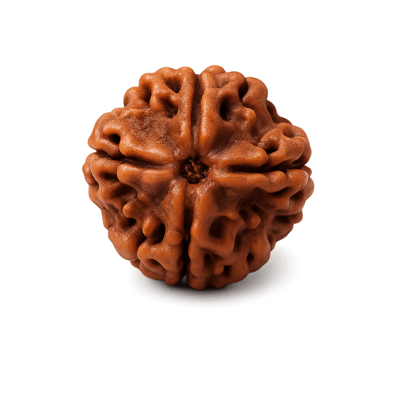 4 mukhi