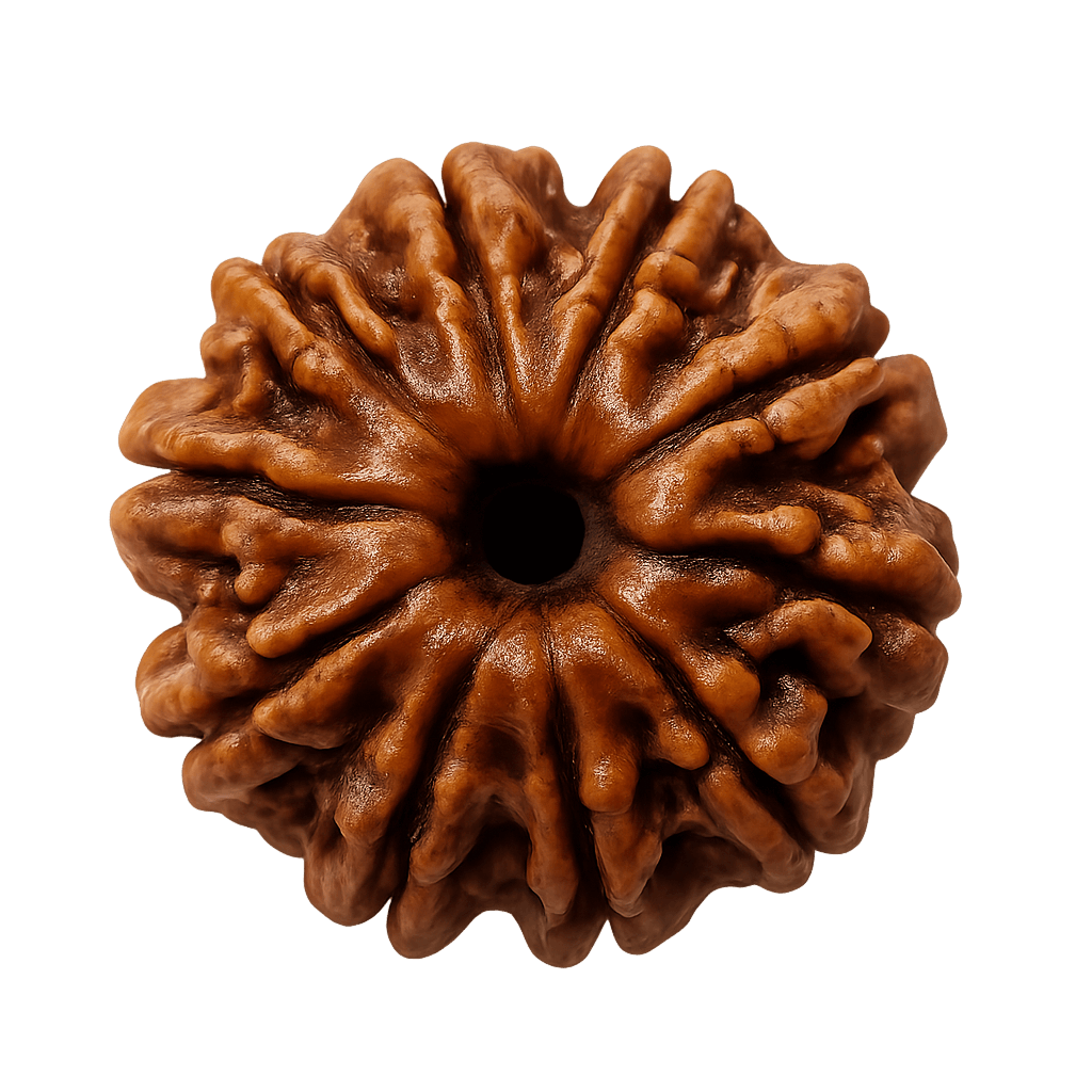 10 mukhi