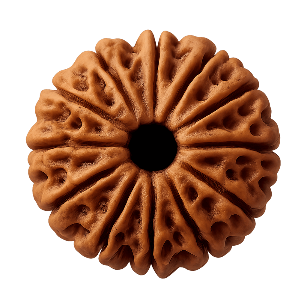 11 mukhi