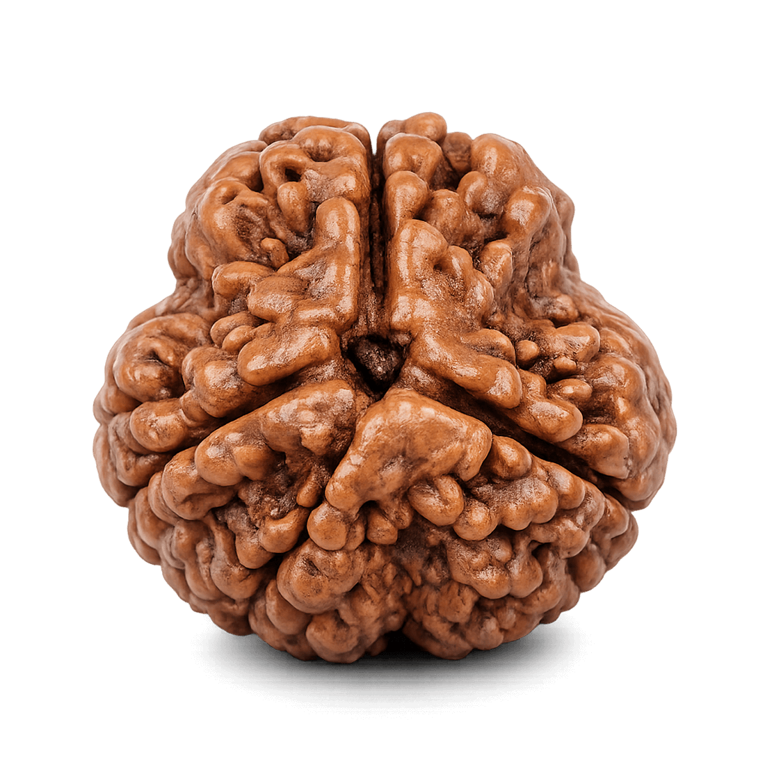 3 mukhi