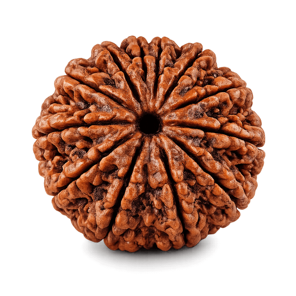 12 mukhi